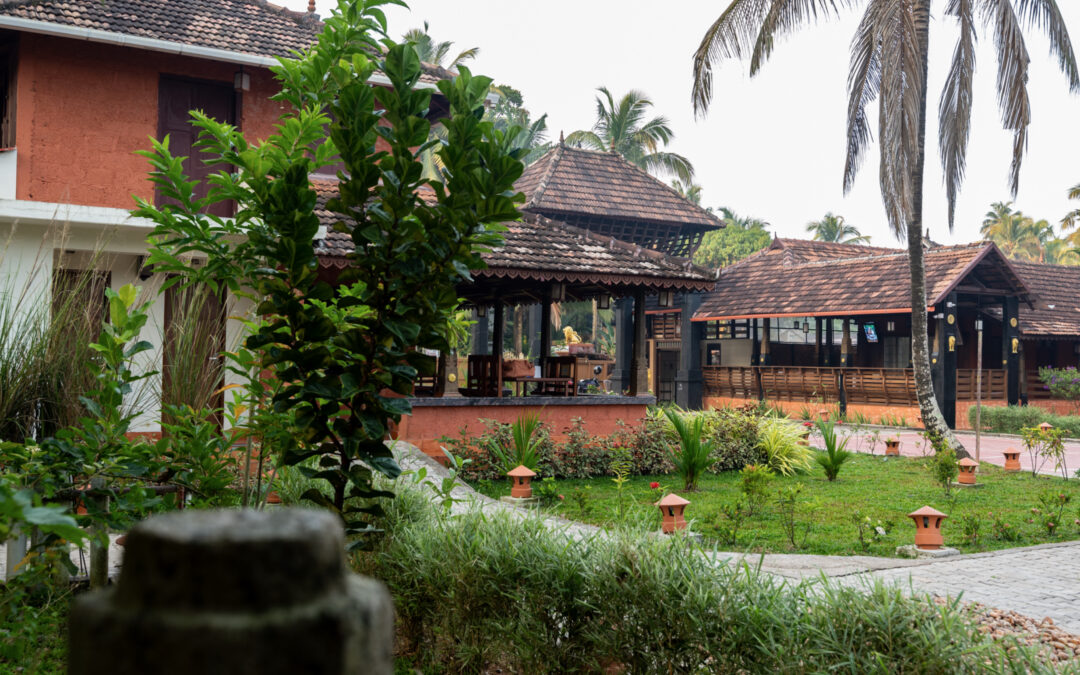 The Healing Power of Ayurveda: What Makes a Resort the Best in Kerala?