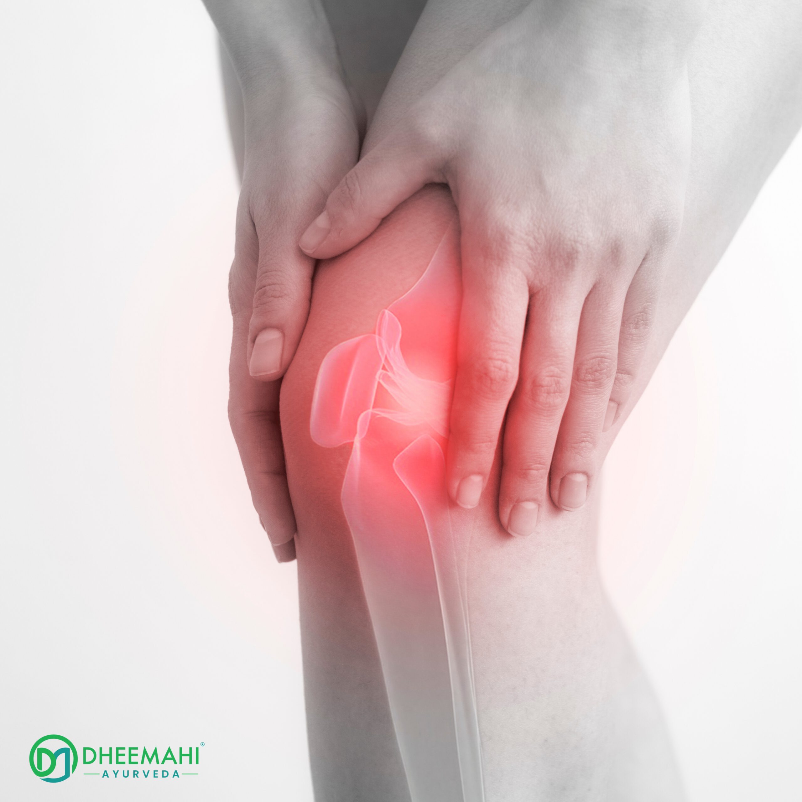A person holding their knee in apparent pain, with a red highlight indicating inflammation or joint pain around the knee area. An anatomical overlay of the knee joint is shown. The image includes the Dheemahi Ayurvedic Centre logo at the bottom." Let me know if you want an SEO-optimized version with keywords like "Ayurvedic treatment for knee pain" or similar.
