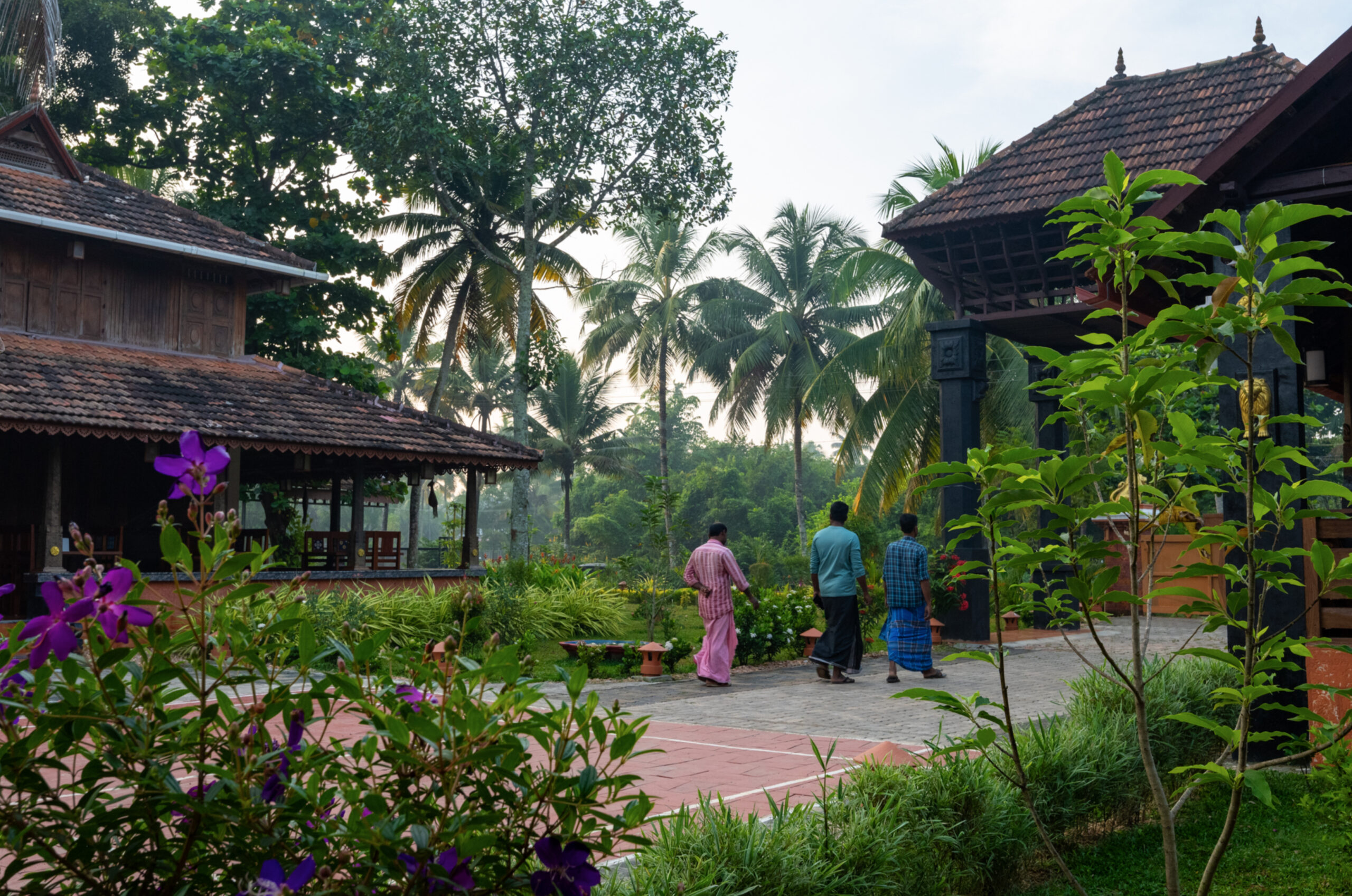 Traditional Kerala Ayurvedic village surrounded by lush greenery, coconut palms, and heritage-style architecture at Dheemahi Ayurveda, offering an authentic healing environment.
