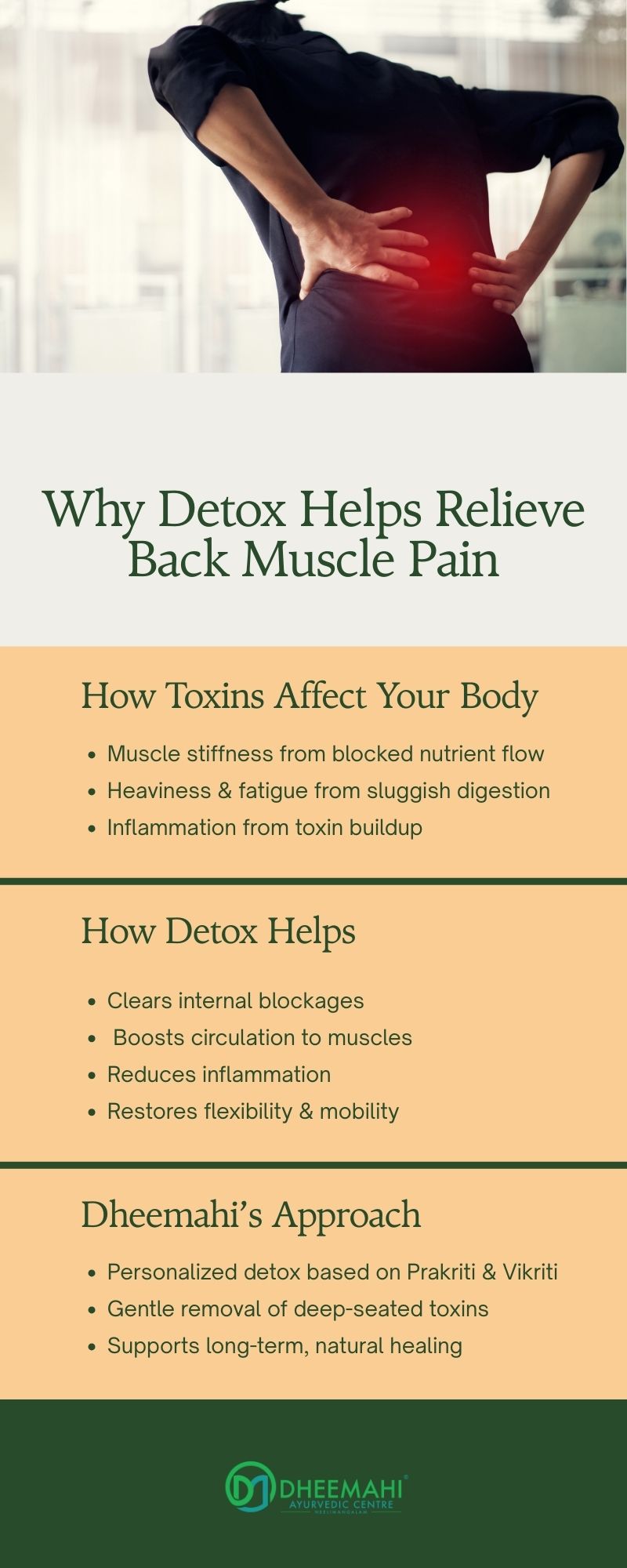 Infographic explaining how Ayurvedic detox helps provide back muscle pain relief by reducing inflammation, removing toxins, and improving flexibility.
