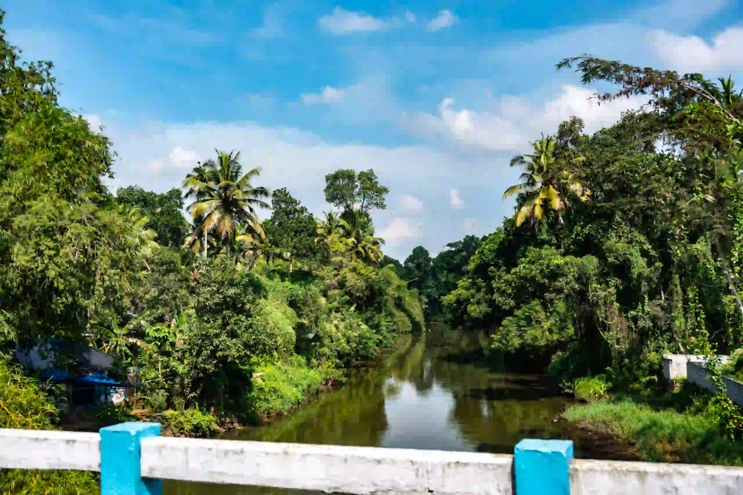 Scenic River View in Kumarakom